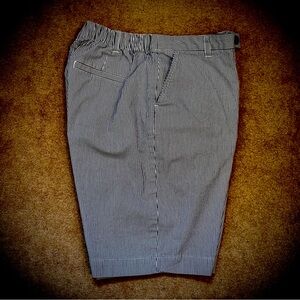 (#146) Women’s Lands’ End Seersucker Shorts